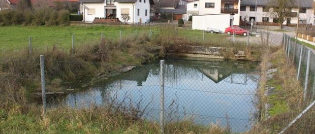 Umbau und Reparatur des Dorfweihers in Teugn
