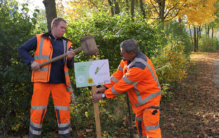 Der Bauhof Saal a.d.Donau hilft mit tatkräftiger Unterstützung die neue Informationstafel auf der Fläche aufzustellen. Mit Hilfe des QR-Codes können Informationen rund um das Eh-da Projekt aufgerufen werden.
